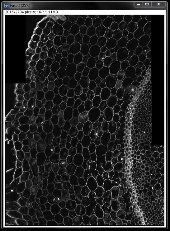 PART 5 IMAGE ALIGNMENT · Fiji Intermediate